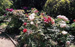 Roches and Pivoines Garden