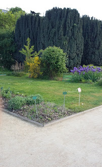 Giardino delle rocce e delle peonie