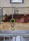 Canada Agriculture and Food Museum