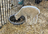 Canada Agriculture and Food Museum