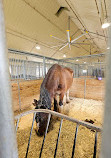 Canada Agriculture and Food Museum