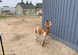 Canada Agriculture and Food Museum