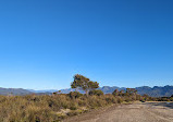 Red Knoll Lookout