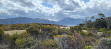 Red Knoll Lookout