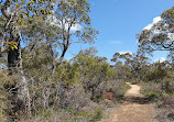 Baldwins Bluff Trail