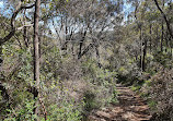 Baldwins Bluff Trail