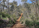 Baldwins Bluff Trail