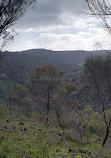 Baldwins Bluff Trail