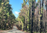 Serpentine Main Dam