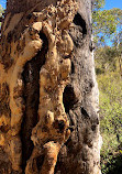 Lower Lesmurdie Falls Car Park