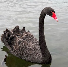 Lake Vasto