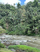 Mandapa, a Ritz-Carlton Reserve