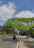 Vidhana Soudha