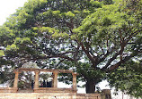 Nandi Temple