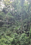 TreeTop Challenge Big Pineapple - Australia's Highest Adventure Park