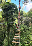 TreeTop Challenge Big Pineapple - Australia's Highest Adventure Park