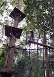 TreeTop Challenge Big Pineapple - Australia's Highest Adventure Park