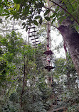 TreeTop Challenge Big Pineapple - Australia's Highest Adventure Park