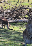 Parklands Conservation Park