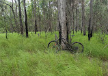 Parklands Conservation Park