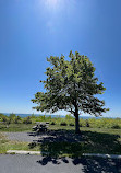 Big Pocono State Park