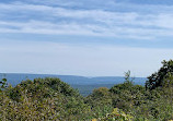 Big Pocono State Park