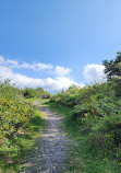 Big Pocono State Park