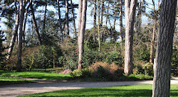 Paris Çiçek Parkı