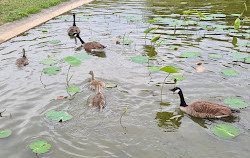 Parque Floral de Paris