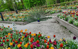 Parque Floral de Paris