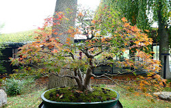 Parque Floral de Paris