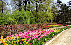 Parque Floral de Paris