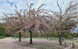 Parque Floral de Paris