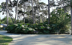 Parque Floral de Paris