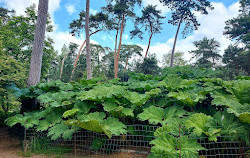 Parque Floral de Paris