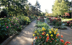 Paris Çiçek Parkı