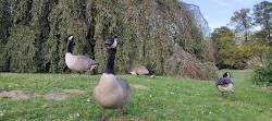 Paris Çiçek Parkı