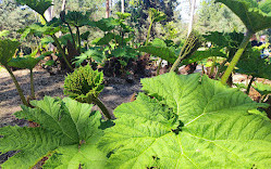 Parque Floral de Paris