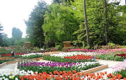حديقة باريس الزهرية