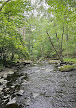 Bushkill Falls