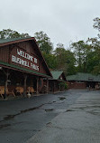 Bushkill Falls