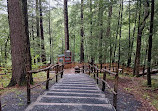 Bushkill Falls