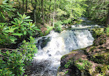 Bushkill Falls