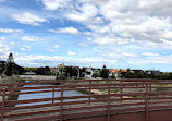 Elwood Canal Bridge