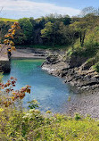 Stackpole Quay