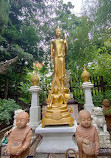 Buddhapadipa Temple