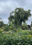 Edwards Gardens