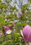 Haarlemmer Kweektuin