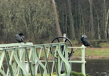 Harlaw Reservoir Car Park