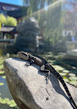 Chinese Garden of Friendship